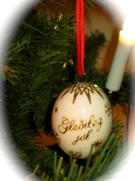 19641_1299479452822_7508742_n