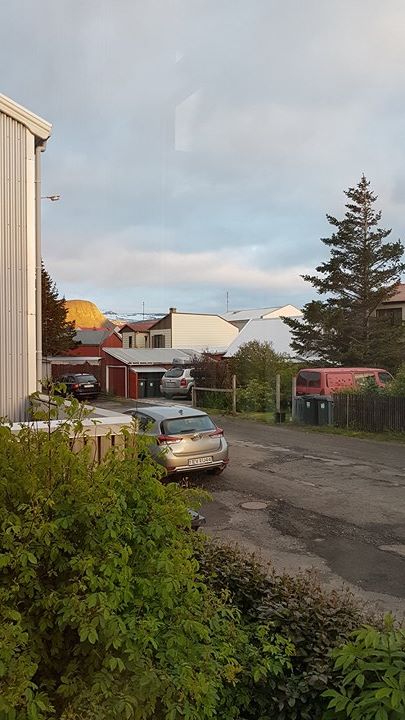 19550887_10213612609335301_864411475_n