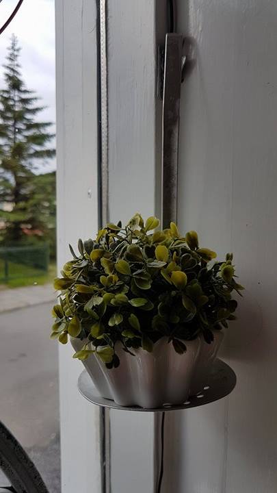 19550894_10213634430880826_2139945750_n